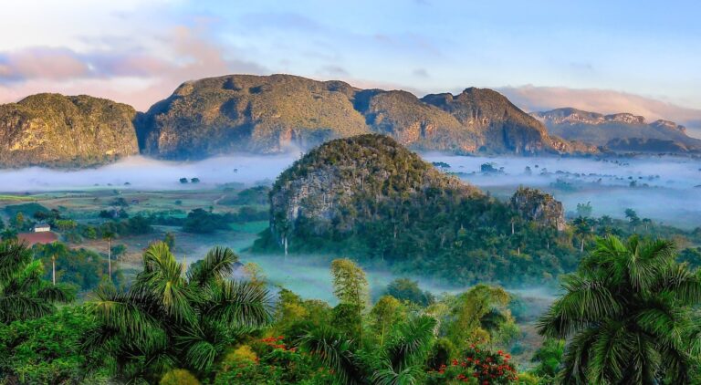 Malayali Ayurveda & Natural Medicine Mississauga