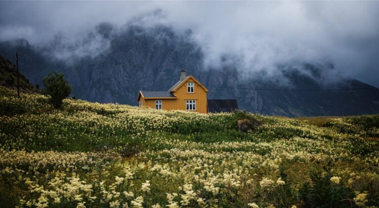 Bound By Canadian Standards & Ethics